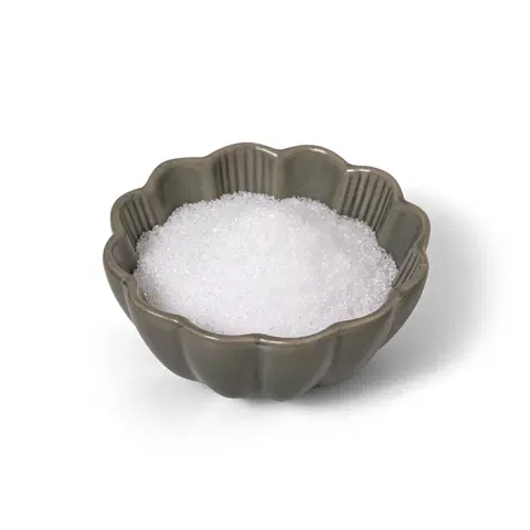 Sladidlá a ochucovadlá Protein & Co. Brezový cukor – xylitol 500 g