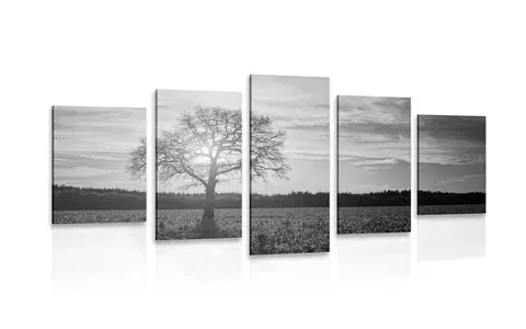 Čiernobiele obrazy 5-dielny obraz osamelého stromu v čiernobielom prevedení