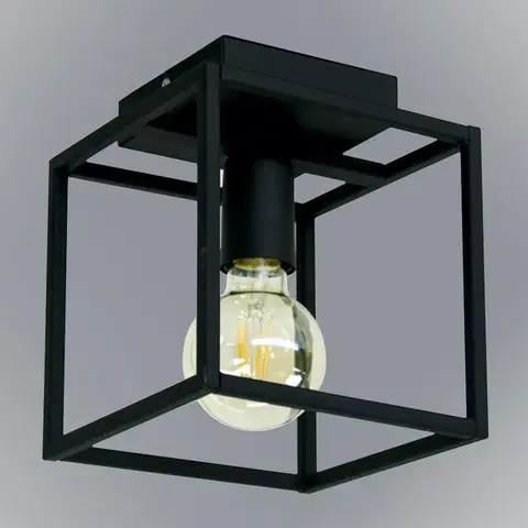 Lampy do obývačky Luster Horus 2864/Z-B-1 PL1