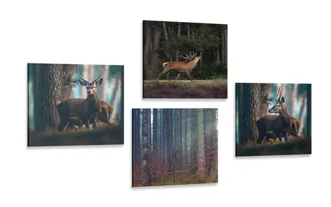 Zostavy obrazov Set obrazov čaro lesných zvierat
