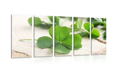 Obrazy zátišie 5-dielny obraz zelené štvorlístky