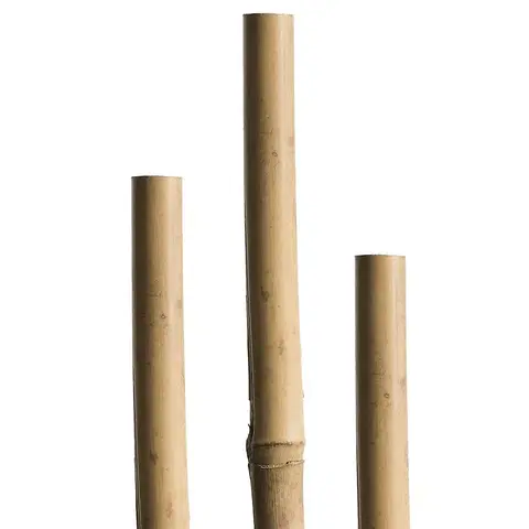 Konštrukcie pre popínavé rastliny Tyč Tonkin 120 cm, 8/10 mm, 5 ks – 05608