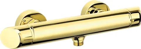 Kúpeľňové batérie DEANTE - Arnika zlato - Sprchová batéria BQA_Z40M