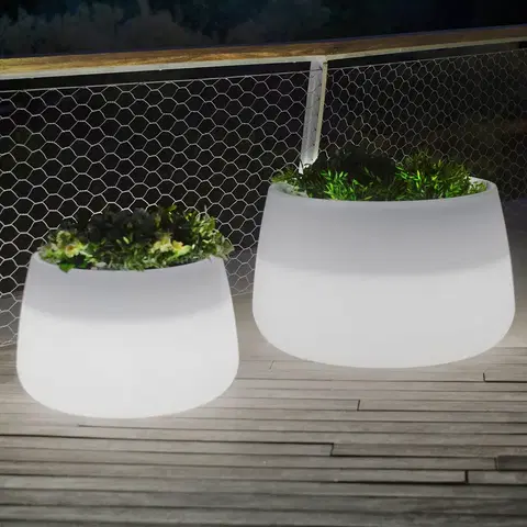 Vonkajšie dekoratívne svietidlá Newgarden Newgarden Camelia 60 plantážnik LED Solar+Akku