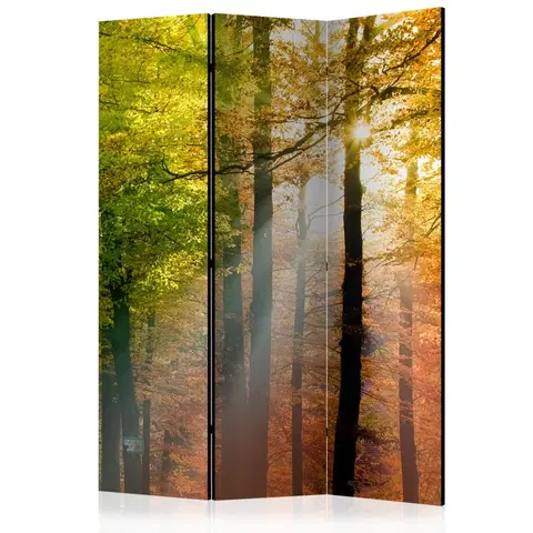 Paravány Paraván Forest Colours Dekorhome 135x172 cm (3-dielny)