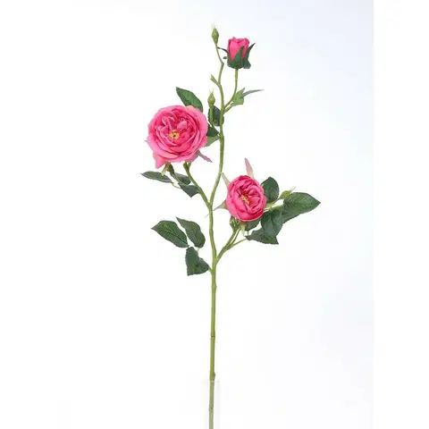 Kvety Umelá anglická ruža ružová, 69 cm