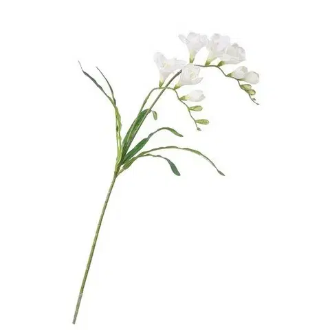 Kvety Umelá kvetina Frézia biela, 57 cm