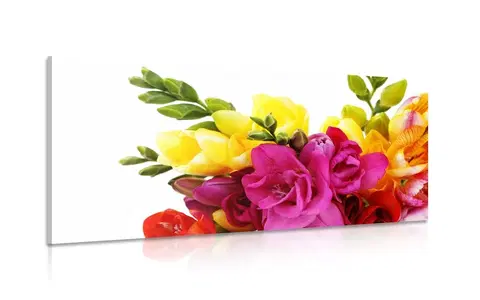 Obrazy kvetov Obraz kytica frézií