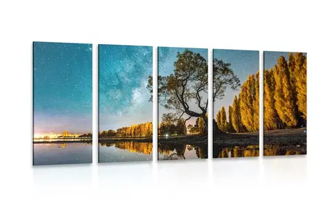 Obrazy prírody a krajiny 5-dielny obraz strom pod hviezdnou oblohou