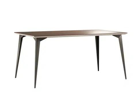 Jedálenské stoly TARANKO Zoom ZO-S1 jedálenský stôl dub Zoom / Savana mat / čierna