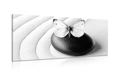 Čiernobiele obrazy Obraz Zen kameň s motýľom v čiernobielom prevedení