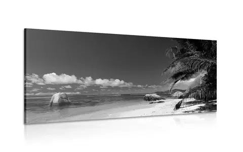 Čiernobiele obrazy Obraz pláž Anse Source v čiernobielom prevedení