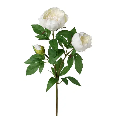 Kvety Umelá pivonka biela, 70 cm