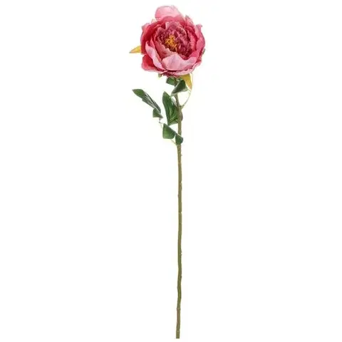 Kvety Umelá kvetina Pivonka ružová, 11 x 70 x 11 cm