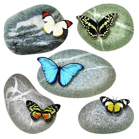 Samolepky na stenu Samolepiaca dekorácia Butterflies on Stones, 30 x 30 cm