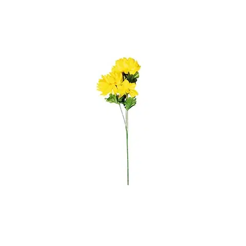 Kvety Chryzantéma plnokvetá, 3 kvety, v. 58 cm