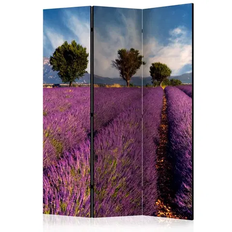 Paravány Paraván Lavender field in Provence, France Dekorhome 135x172 cm (3-dielny)