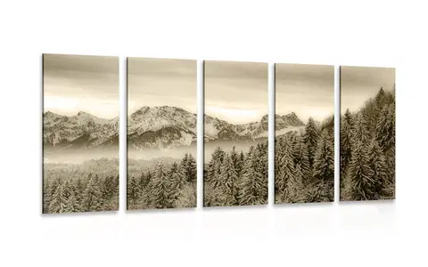 Čiernobiele obrazy 5-dielny obraz zamrznuté hory v sépiovom prevedení