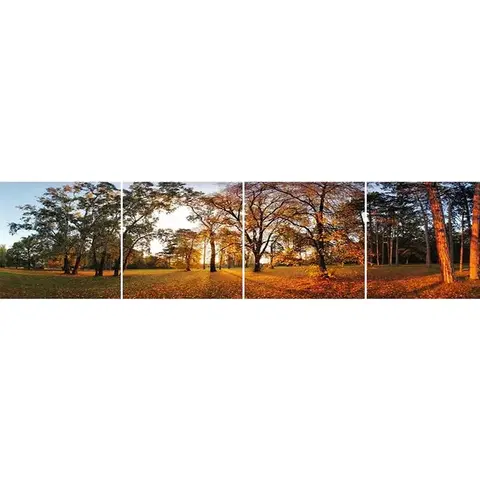 Dekoračné panely Sklenený panel 60/240 Forest-2 4-Elem
