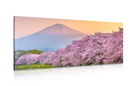 Obrazy prírody a krajiny Obraz nádherné Japonsko