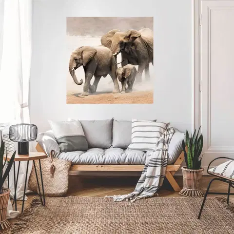 Nálepky na stenu Nálepky na stenu s motívom zvierat - Slony