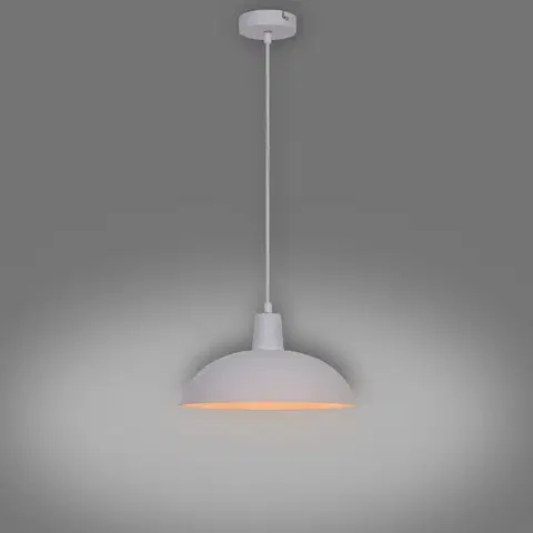 Lampy do obývačky Luster  F19002-1P LW1