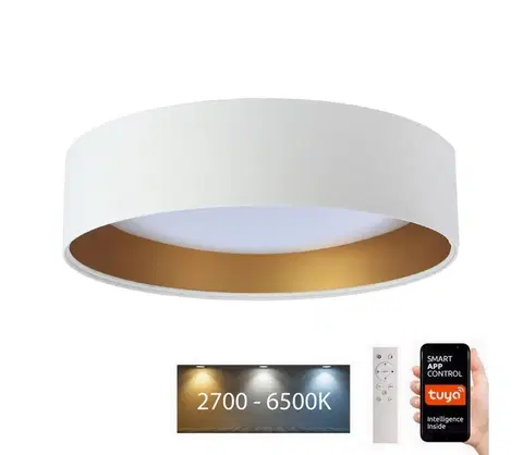 Svietidlá  LED Stropné svietidlo SMART GALAXY LED/24W/230V Wi-Fi Tuya biela/zlatá + DO 