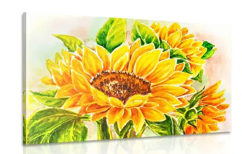 Obrazy kvetov Obraz nádherná slnečnica