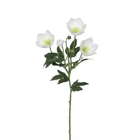 Kvety Umelá čemerica, v. 62 cm, biela