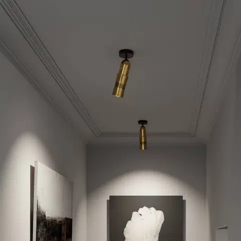 Bodové svetlá Top Light Neo! Spot Wall/Ceiling LED bodové svetlá VN mosadz