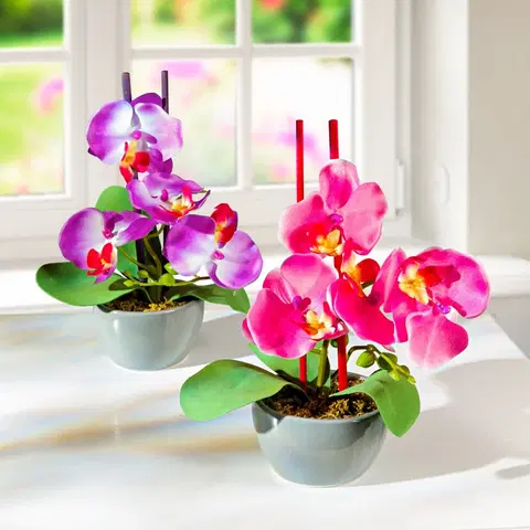 Drobné dekorácie a doplnky 2 aranžmány "Orchidea v kvetináči"