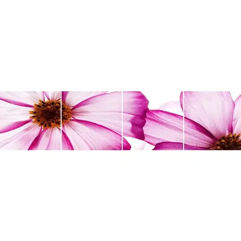 Dekoračné panely Sklenený panel 60/240 Flowers-1 4-Elem