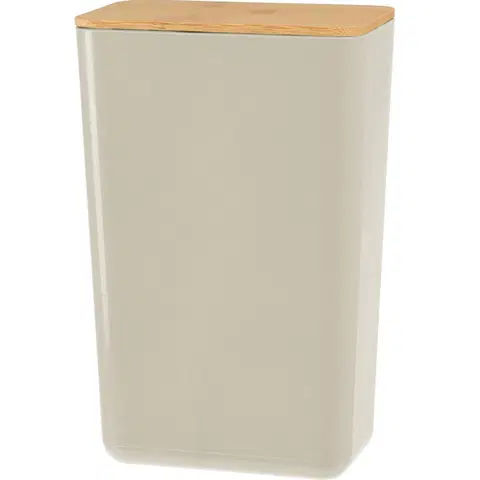 Úložné boxy Úložný box s bambusovým vekom Roger, 13 x 20,7 x 8 cm, béžová