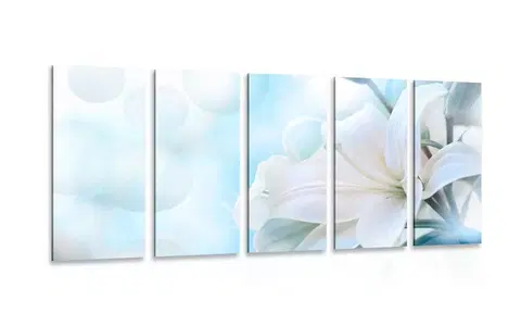 Obrazy kvetov 5-dielny obraz biely kvet ľalie na abstraktnom pozadí