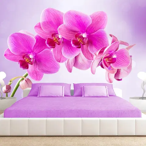 Tapety Samolepiaca tapeta ružová orchidea - Thoughtfulness