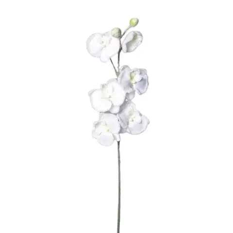 Kvety Umelá zasnežená Orchidea biela, 81 cm