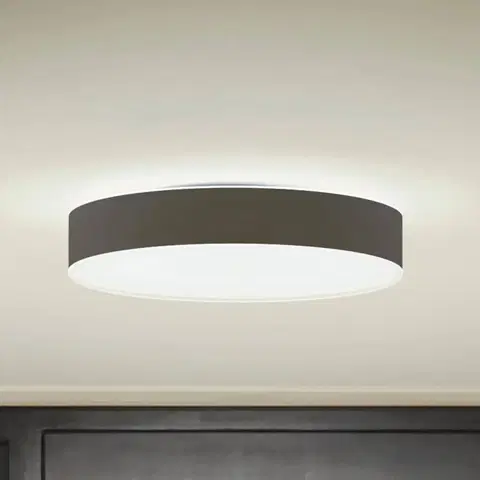 SmartHome stropné svietidlá Philips Hue Stropné svietidlo Philips Hue Enrave LED 38,1 cm čierne