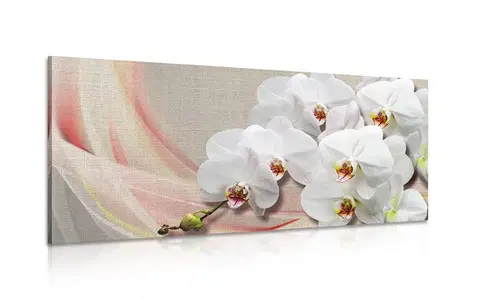 Obrazy kvetov Obraz biela orchidea na plátne