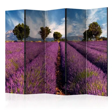 Paravány Paraván Lavender field in Provence, France Dekorhome 225x172 cm (5-dielny)