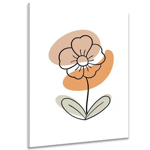Obrazy kvetov Obraz minimalistický kvet na bielom pozadí No4