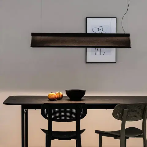 Závesné svietidlá FARO BARCELONA Ludovico Povrchové závesné svetlo LED, 115 cm, čierna