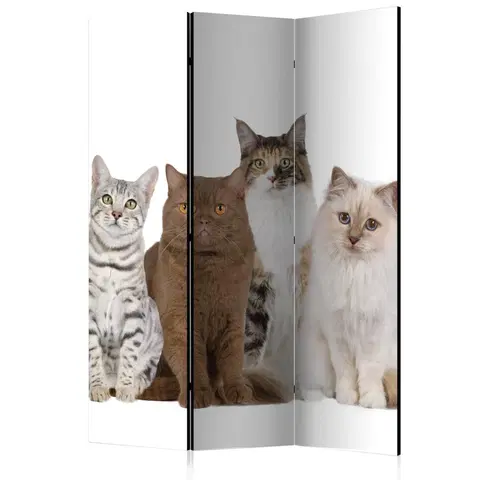 Paravány Paraván Sweet Cats Dekorhome 135x172 cm (3-dielny)