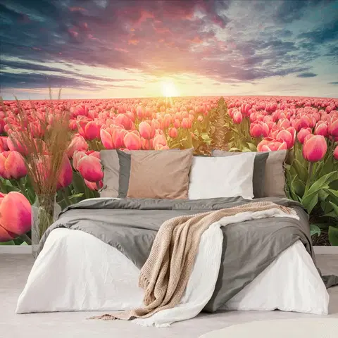 Samolepiace tapety Samolepiaca tapeta východ slnka nad lúkou s tulipánmi