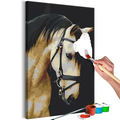 Maľovanie podľa čísiel Obraz maľovanie podľa čísiel nádherný portrét koňa - Horse Portrait