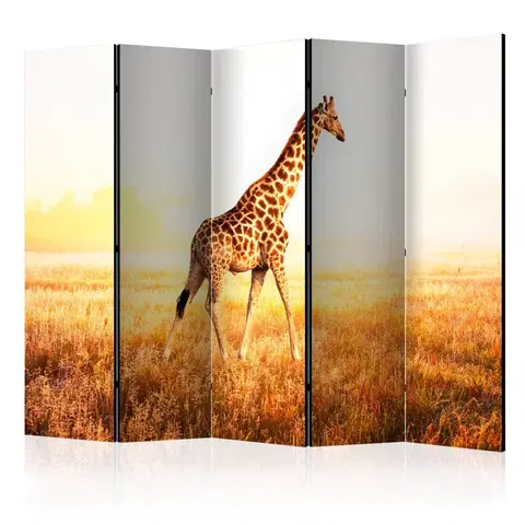 Paravány Paraván giraffe - walk Dekorhome 225x172 cm (5-dielny)