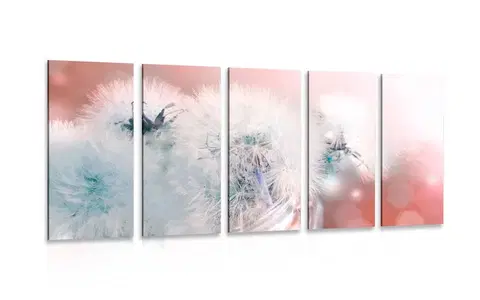 Obrazy kvetov 5-dielny obraz púpava s abstraktnými prvkami