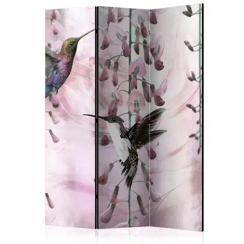 Paravány Paraván Flying Hummingbirds (Pink) Dekorhome 135x172 cm (3-dielny)
