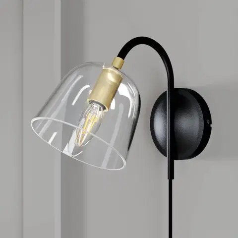 Nástenné svietidlá Lucande Lucande Anjita nástenná lampa, sklená obrazovka