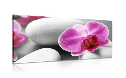 Obrazy Feng Shui Obraz kvety orchidey na bielych kameňoch