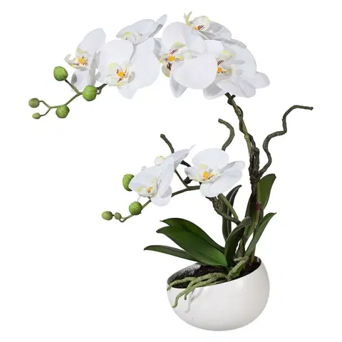 Kvety Umelá Orchidea v kvetináči biela, 42 cm 115812-40